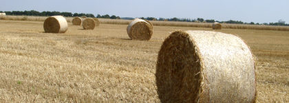 Aiuto all’avviamento di imprese per i giovani agricoltori – Sottomisura 6.1