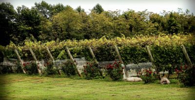 Ag.R.I.A. Aggiornamento Risorse nell’Industria Agricola