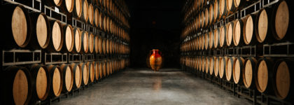LA “CANTINE DI SAN MARZANO” SI AGGIUDICA IL PREMIO CANTINA COOPERATIVA DELL’ANNO NELLA GUIDA VINI D’ITALIA 2022
